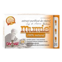 Extract purificat de rasina Mumie, 30 capsule, Damar General Trading