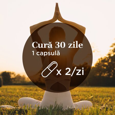Nuca Neagra, 400 mg, 60 capsule, Faunus Plant 821857