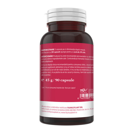 Vitaminizantus Forte, 90 capsule, Faunus Plant 821862