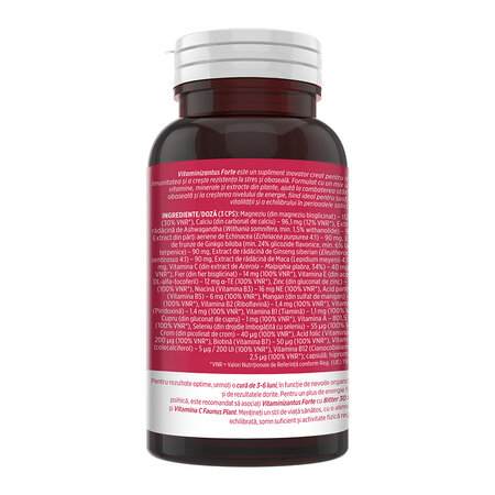 Vitaminizantus Forte, 90 capsule, Faunus Plant 821863