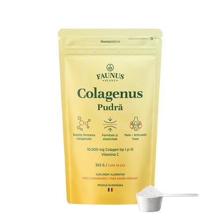 Colagenus pudra + Vitamina C, 303 g, Faunus Plant 821959