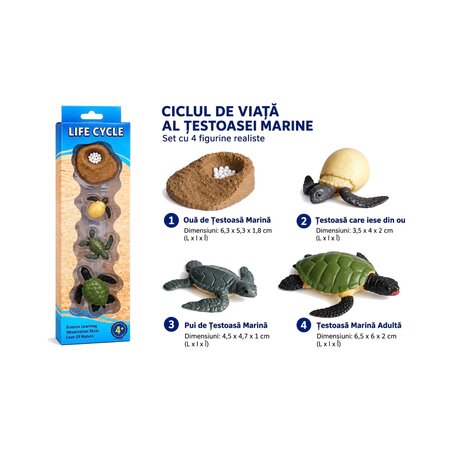 Set educativ, Ciclul de viata al testoasei marine, 4 ani+, OEM 823673