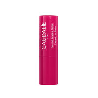 Balsam de buze hranitor si nuantator Vinotherapist, 4,5 g, Caudalie