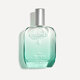 Apa de toaleta Eau des Vignes Body, 50 ml, Caudalie 824409