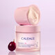 Rezerva pentru crema de fermitate cu textura cashmere Resveratrol-Lift, 50 ml, Caudalie 824444