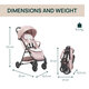 Carucior sport Taormina, Blush, 0 luni+, Chicco 825167