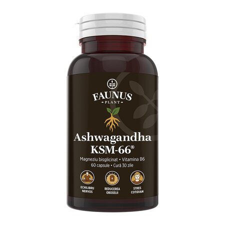 Ashwagandha KSM-66, 60 capsule, Faunus Plant 826072