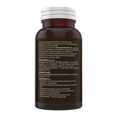 Ashwagandha KSM-66, 60 capsule, Faunus Plant 826074
