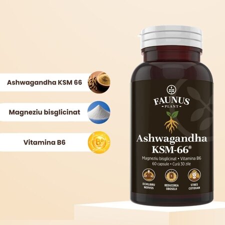 Ashwagandha KSM-66, 60 capsule, Faunus Plant 826075