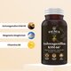 Ashwagandha KSM-66, 60 capsule, Faunus Plant 826075