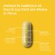 Daily Quercetin, 500 mg, 30 capsule, Good Routine 777221