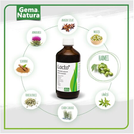 Stimulent pentru lactatie Lacto+, 250 ml, Gema Natura 565941