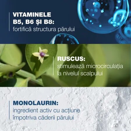 Sampon complementar impotriva caderii parului Anaphase+, 200 ml, Ducray 715314
