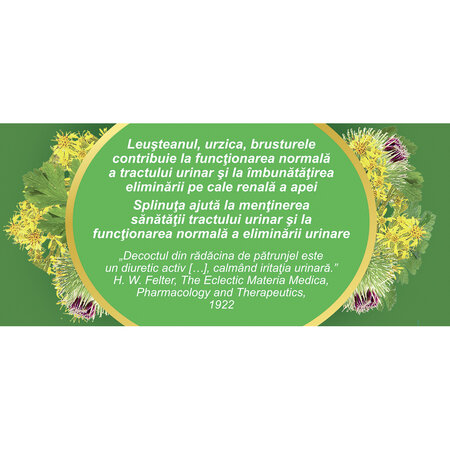 Ceai Diuretic, 20 plicuri, Fares 722710