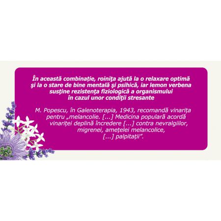 Ceai Distonoplant, 20 plicuri, Fares 722722