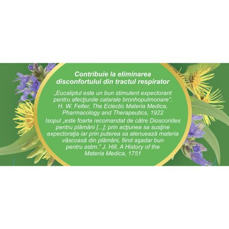 Ceai Bronhofit, 20 plicuri, Fares 722704