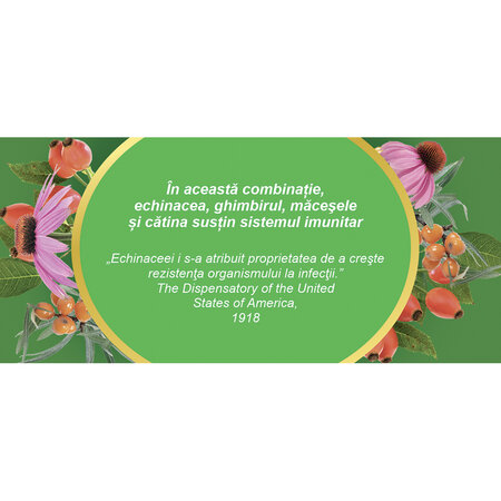 Ceai imunitate medicinal, 20 plicuri, Fares 722728