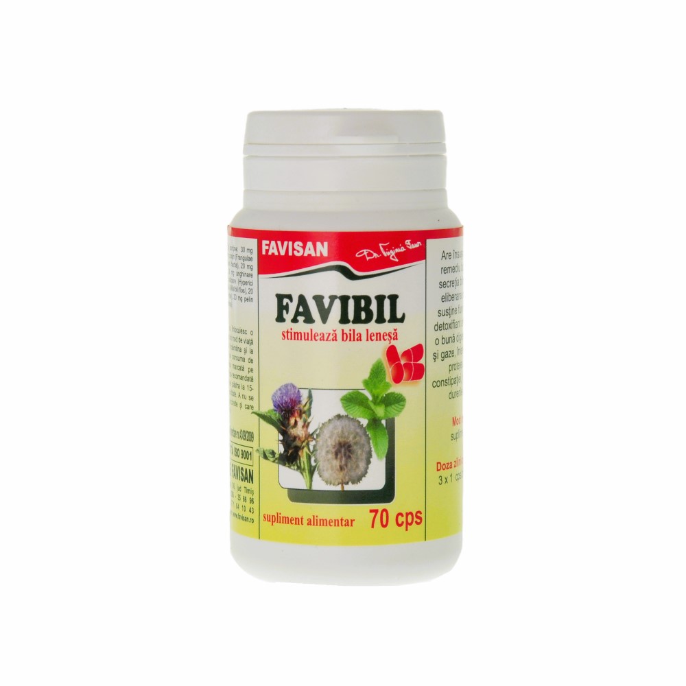 Favibil, 70 capsule, Favisan