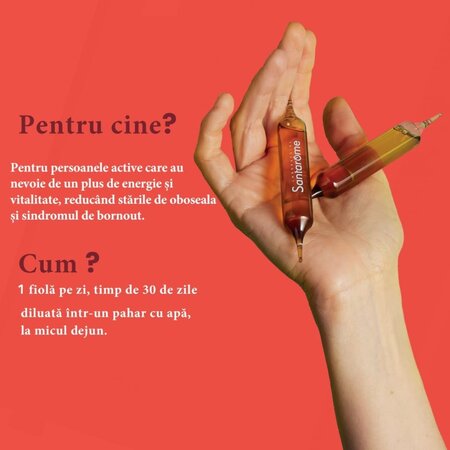 Ginseng Gelee Royale Guarana Acerola Bio, 20 fiole x 10 ml, Santarome Natural 615434