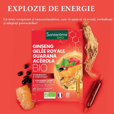 Ginseng Gelee Royale Guarana Acerola Bio, 20 fiole x 10 ml, Santarome Natural 615431