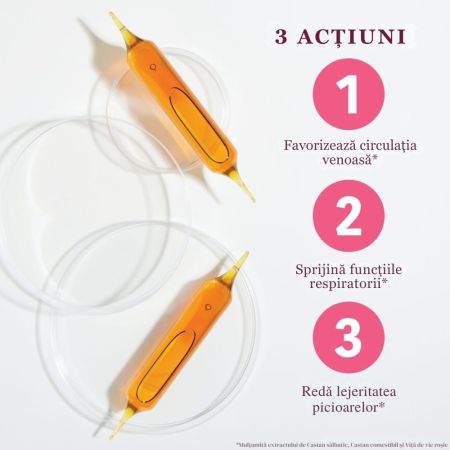 Fluidiveine Jambes Legeres BIO, 20 fiole x 10 ml, Santarome 713686