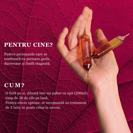 Fluidiveine Jambes Legeres BIO, 20 fiole x 10 ml, Santarome 713687