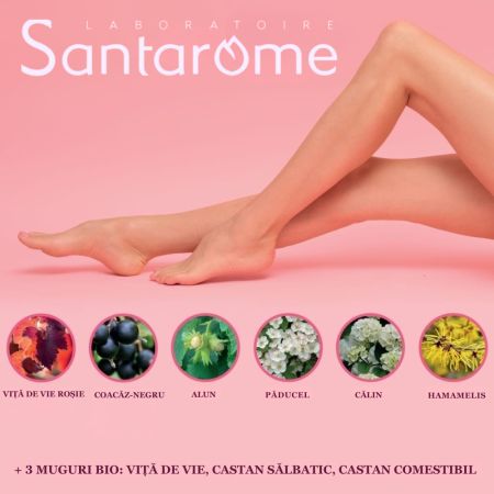 Fluidiveine Jambes Legeres BIO, 20 fiole x 10 ml, Santarome 713685