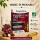 Fluidiveine Jambes Legeres BIO, 20 fiole x 10 ml, Santarome 806628