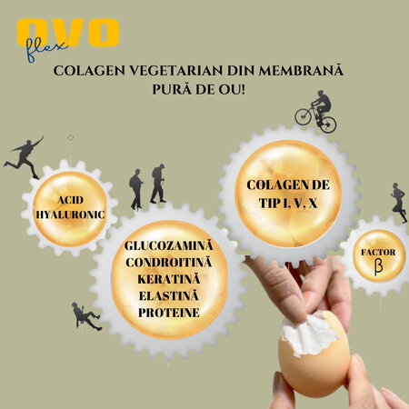 Ovo Flex, 30 capsule, Alchida Nature 711457