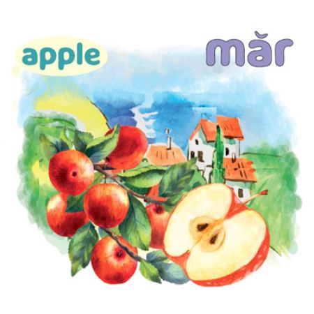 Carticica Barba Alba ne invata, Fructele, Top Publishing 468568