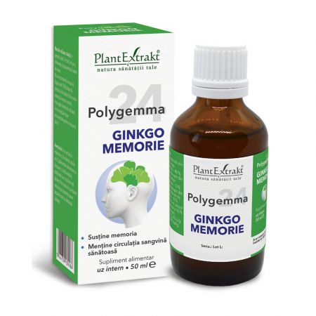 Polygemma 24 Ginkgo Memorie