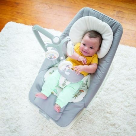 Balansoar cu vibratii si muzica Dreamer, Fern, 0luni-13Kg, Joie 475045