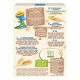Cereale mic dejun cu biscuiti si lapte Infant Cereals, +6 luni, 250 g, Nestle 534356