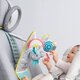 Jucarie auto cu oglinda retrovizoare Koala, Taf Toys 658904