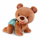 Ursulet, 9-36 luni, Vtech Baby 595958