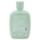 Sampon echilibrant antisebum Scalp Rebalance Balancing, 250 ml, Alfaparf 806373