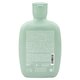 Sampon antimatreata Scalp Rebalance, 250 ml, Alfaparf 806371