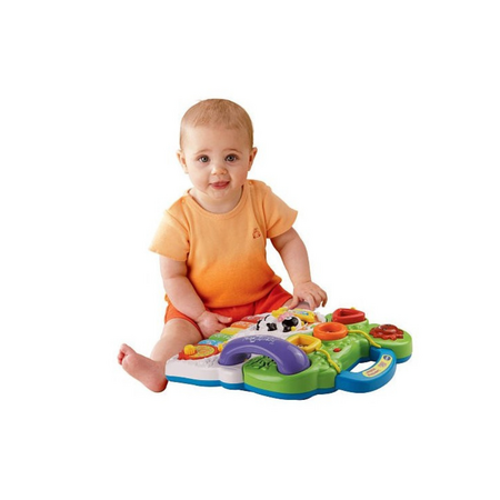 Premergatorul meu interactiv 2 in 1, 6 luni+, Vtech Invata prin Joaca 595623