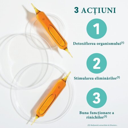 Detox Bio, 20 fiole x 10 ml, Santarome 615508
