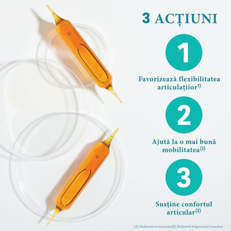 Confort Articulaire, 20 fiole x 10 ml, Santarome Natural 615485