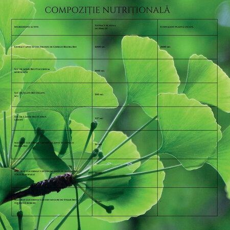 Ginkgo 2000 Bio, 20 fiole x 10 ml, Santarome Nature 615474