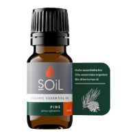 Ulei esential de Pin Pur 100% Organic, 10 ml, SOiL