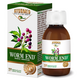 Sirop Worm End, 100 ml, Ayurmed 677054