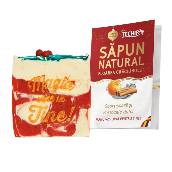 Sapun natural cu aroma de scortisoara si portocale dulci, 120 g, Techir