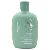 Sampon delicat energizant Scalp Renew, 250 ml, Alfaparf