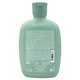 Sampon delicat energizant Scalp Renew, 250 ml, Alfaparf 806315