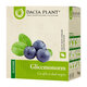 Ceai Glicemonorm, 50 g, Dacia Plant 808332