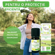 Ulei esential de Citronella bio, 10 ml, Born to Bio 673741