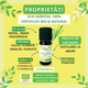 Ulei esential de Citronella bio, 10 ml, Born to Bio 673740