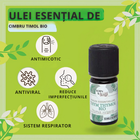 Ulei esential de Cimbru Thymol bio, 5 ml, Born to Bio 673747